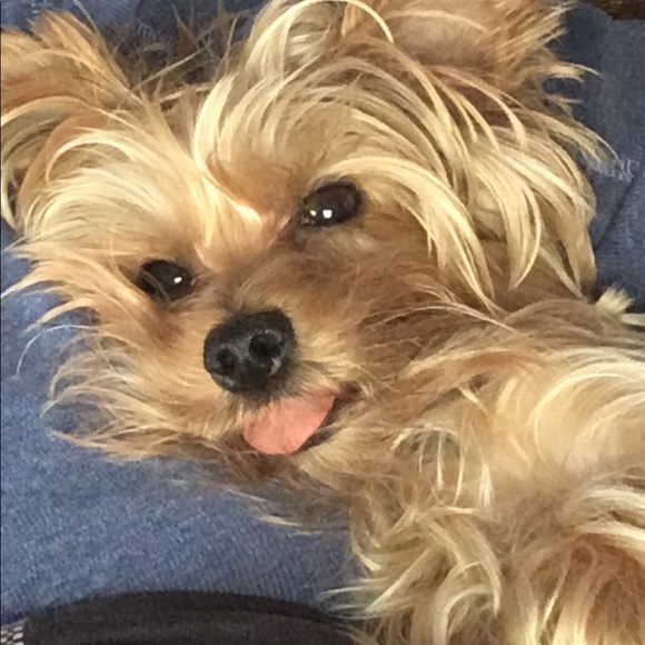 Meet your Posher, Kristine - Picture 3 of 8